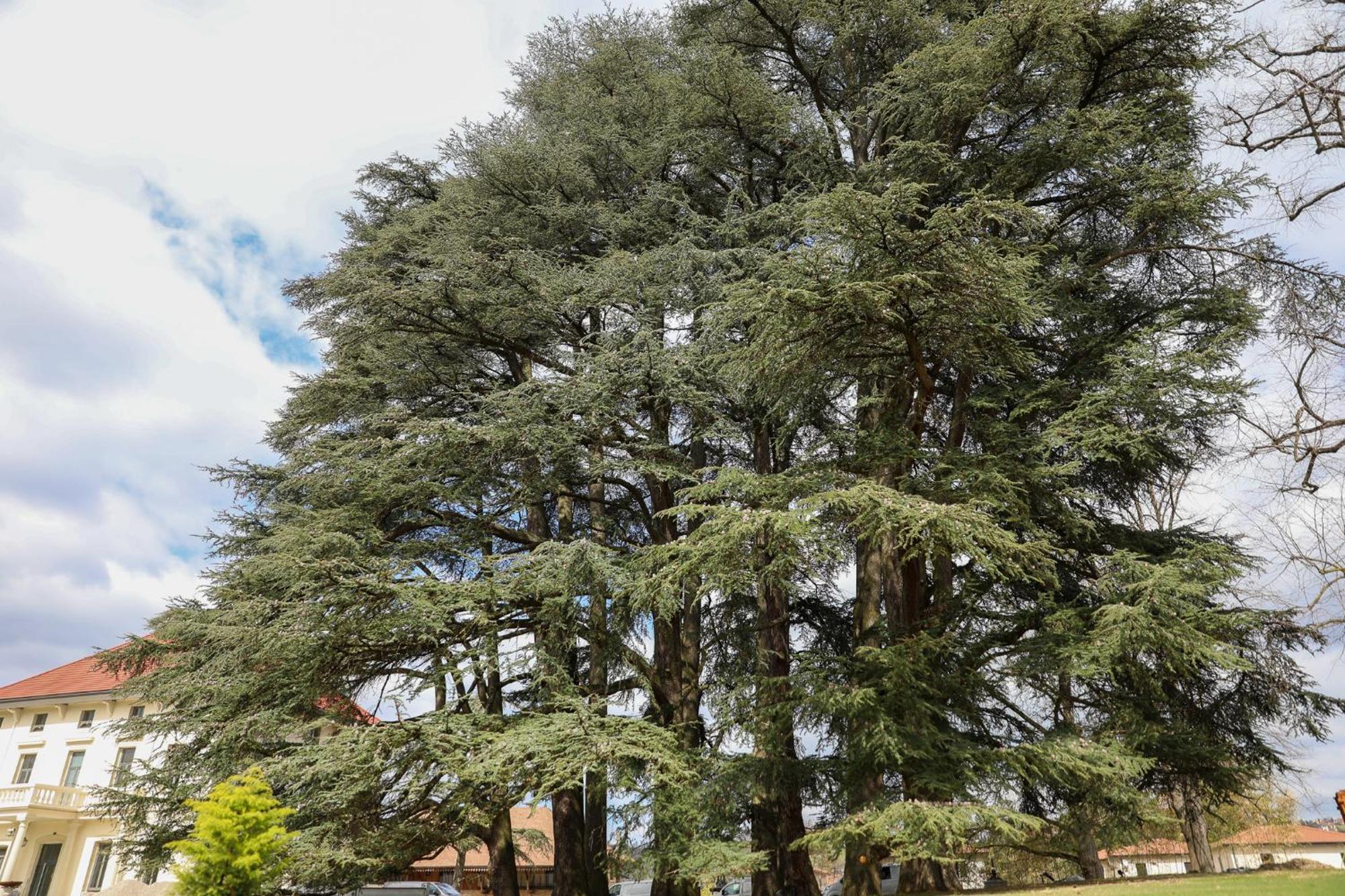 Отель Sequoias Golf & Ressort Ruy-Montceau Экстерьер фото